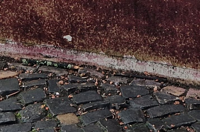 Auch das Galaxy S22+ kommt nicht an den Detailgrad des Pixel 6 Pro heran. (Bild: Tobias Költzsch/Golem.de)